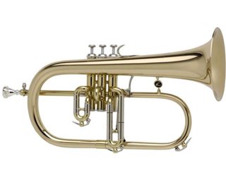 Courtois Preference Flugel