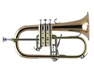 Schilke Flugel Horn, gold brass bell lacquer finish