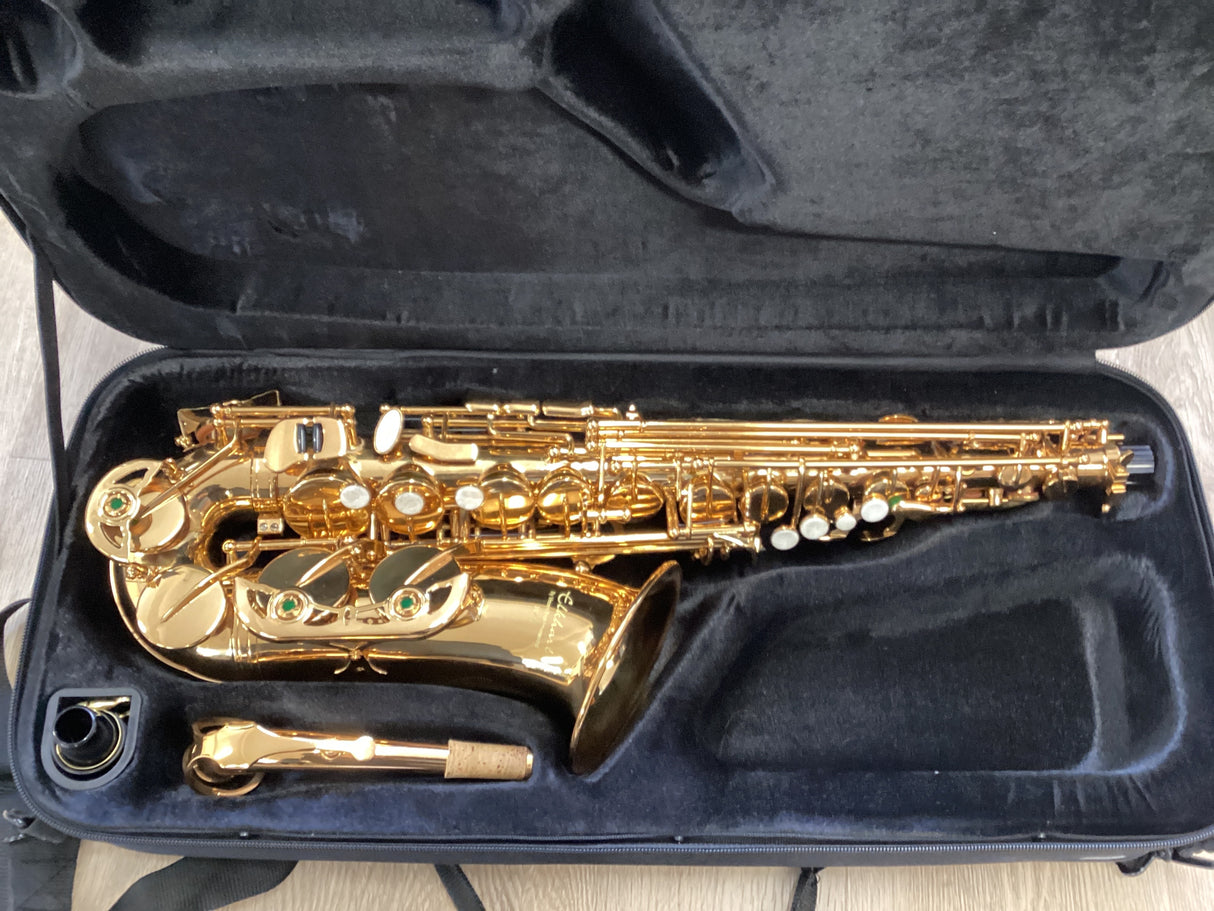 Ex-Hire Elkhart 100AS Alto Saxophone