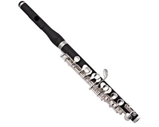 Trevor James 5X Piccolo