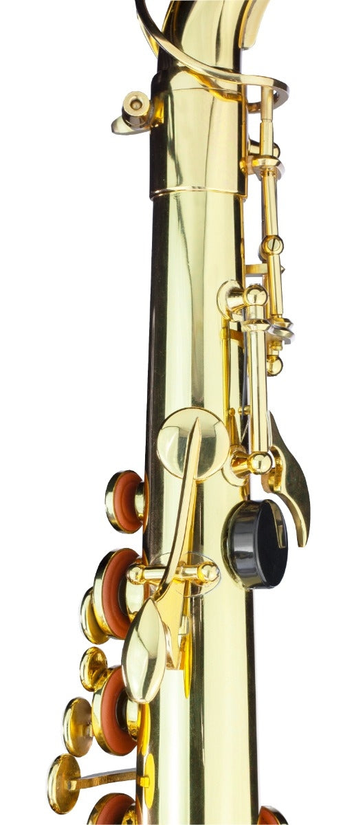 Trevor James AlphaSax Gold Lacquer