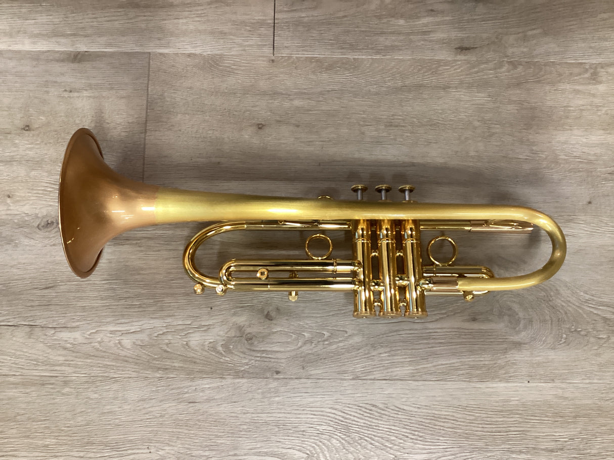 Taylor Piranha Bb Trumpet