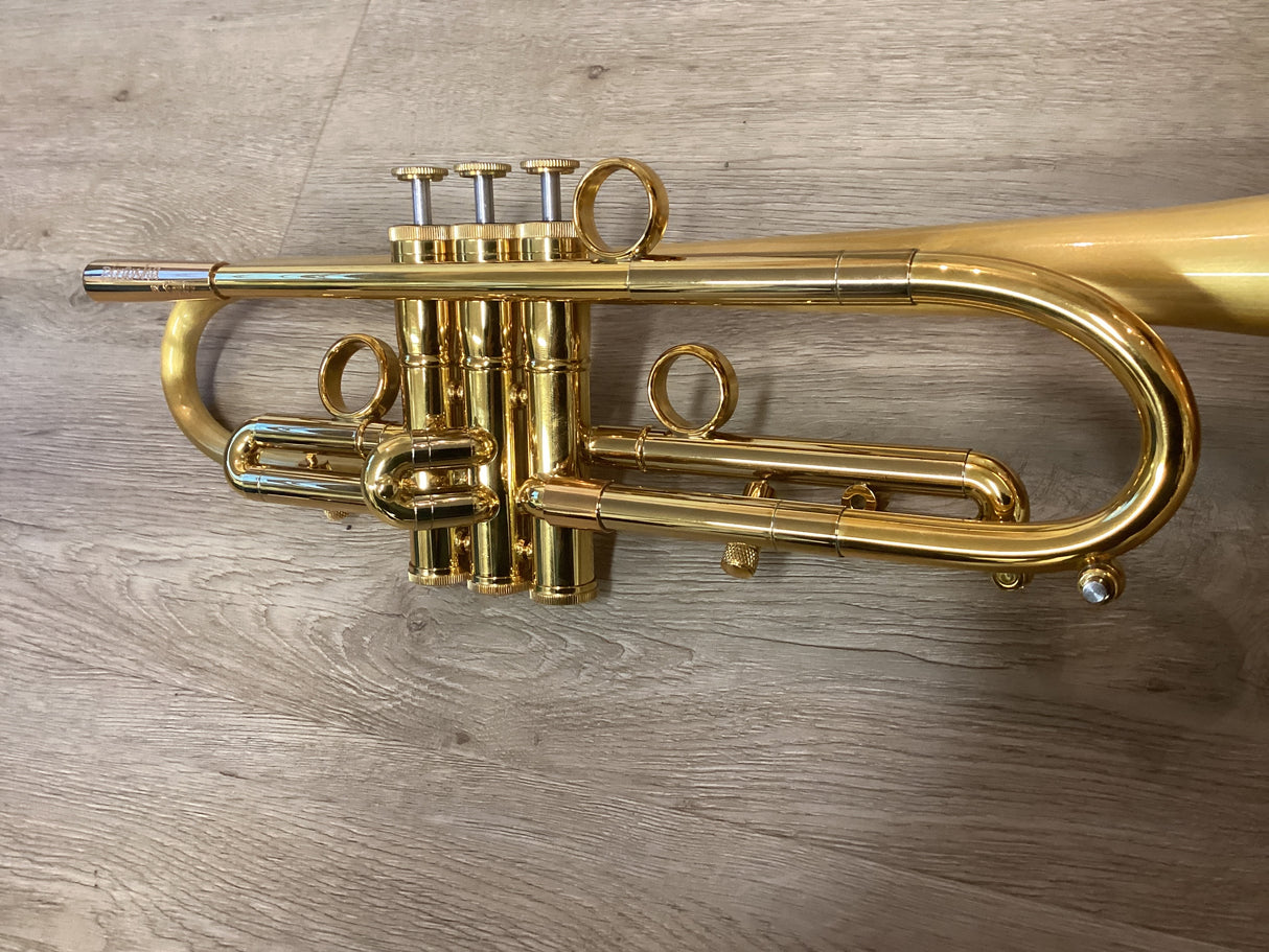 Taylor Piranha Bb Trumpet