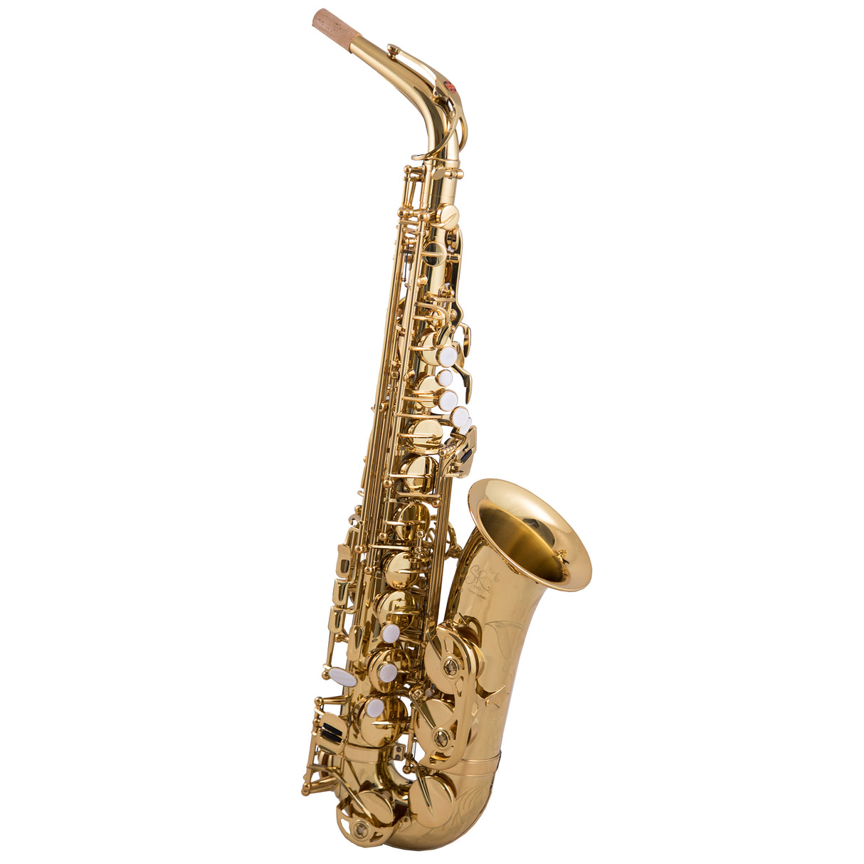Trevor James Evo Alto Saxophone - Gold Lacquer