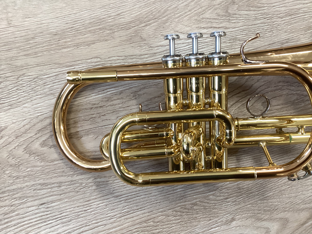 Yamaha YCR4330G Cornet
