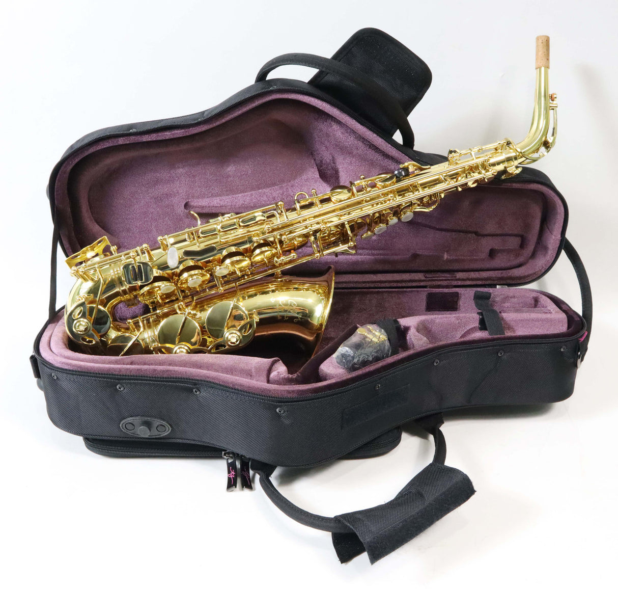 Trevor James SR Alto Saxophone - Gold Lacquer