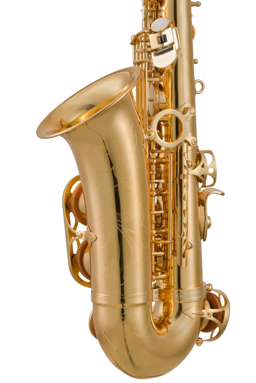 Leblanc LAS211 Alto Saxophone - Gold Lacquer