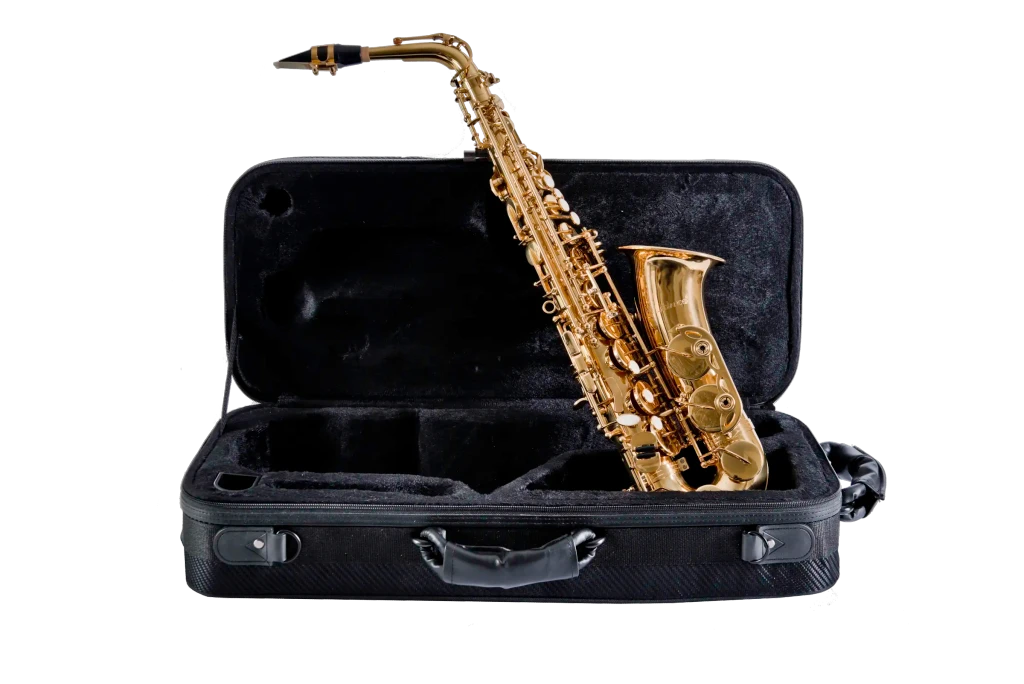 Leblanc LAS211 Alto Saxophone - Gold Lacquer
