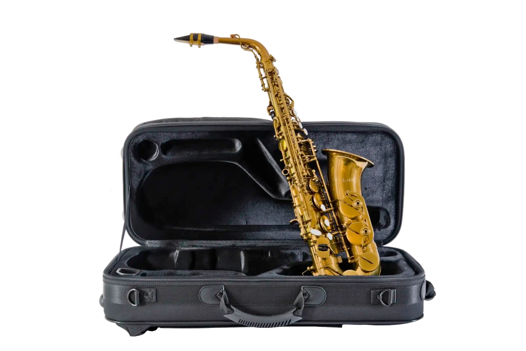 Leblanc LAS411 Alto Saxophone, Gold Lacquer