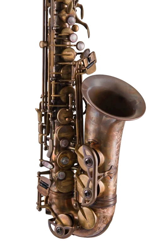 Leblanc LAS711 Premiere Alto Saxophone - Aged Brass