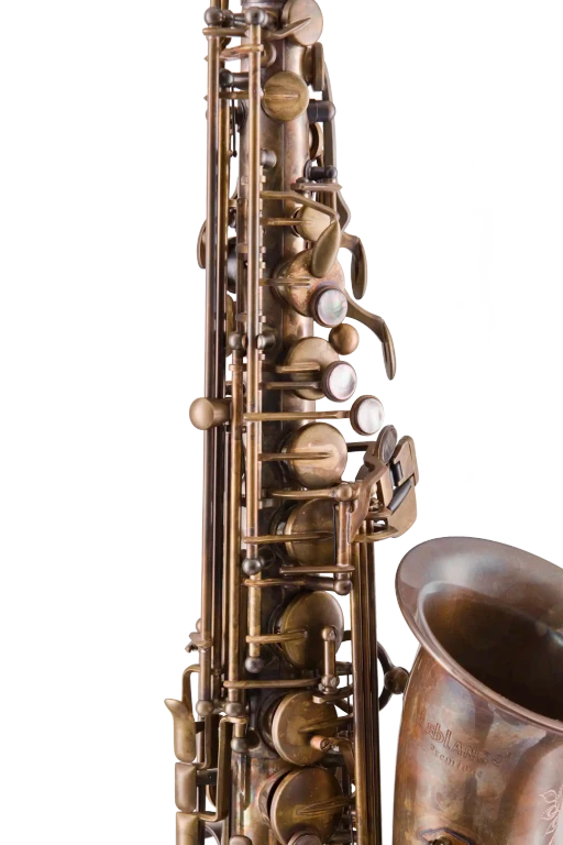 Leblanc LAS711 Premiere Alto Saxophone - Aged Brass