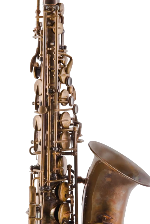 Leblanc LAS711 Premiere Alto Saxophone - Aged Brass