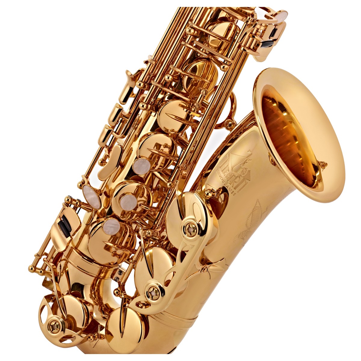 Trevor James The Horn Alto Saxophone - Gold Lacquer