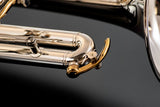 Besson Prestige Cornet BE2029 - NEW MODEL