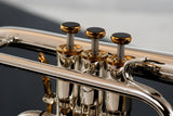 Besson Prestige Cornet BE2029 - NEW MODEL