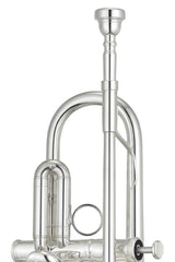 Yamaha YTR8335RGS Reversed Leadpipe, Gold Brass Bell - Silver Plate