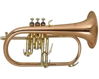 Elkhart Bb Flugel Horn, Rose brass bell