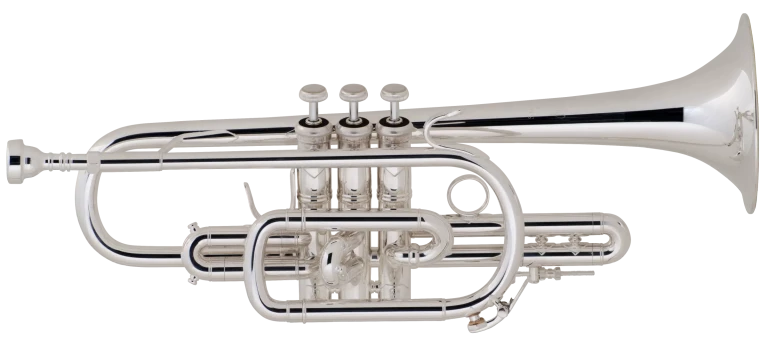 Vincent Bach Stradivarius Long Model Cornet - 181