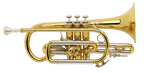 Bach Stradivarius Cornet 184L