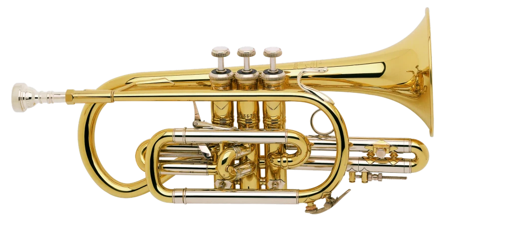 Bach Stradivarius Cornet 184ML – Prozone Music Ltd