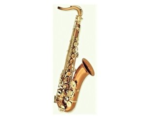 Conn-Selmer Avant 200 Tenor saxophone