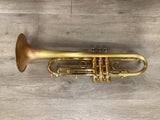 Taylor Piranha Bb Trumpet
