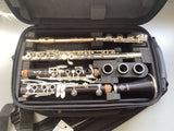 Musical Bags - Clarinet and Flute Case