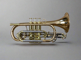 Phil Parker Series 2 Cornet - Lacquer