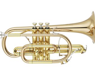 Yamaha Neo cornet lacquer with gold brass bell YCR 8335G
