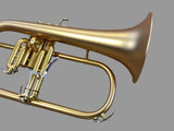 Yamaha YFH8310ZG Flugelhorn - Custom Matte Finish