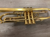 Taylor Piranha Bb Trumpet
