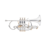 Besson Prestige Cornet BE2029 - NEW MODEL