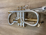 Pre Owned Eclipse Soprano Cornet