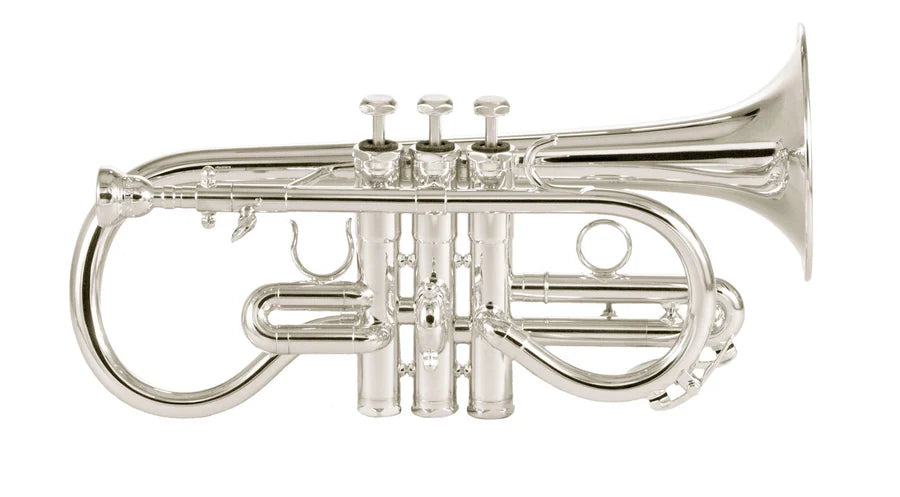 Schilke Eb Soprano Cornet - Yellow Brass Bell