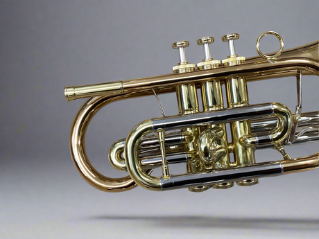 Phil Parker Series 2 Cornet - Lacquer