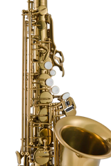Leblanc LAS411 Alto  Saxophone, Gold Lacquer