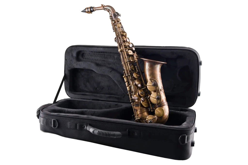 Leblanc LAS711 Premiere Alto Saxophone - Aged Brass