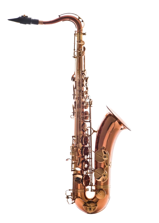 Leblanc LTS711  Tenor Saxophone - Dark Lacquer