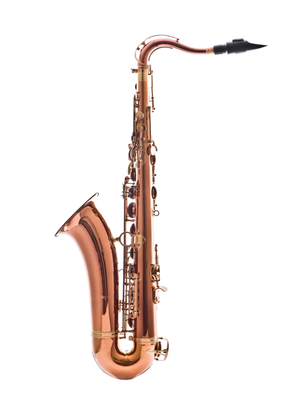 Leblanc LTS711  Tenor Saxophone - Dark Lacquer