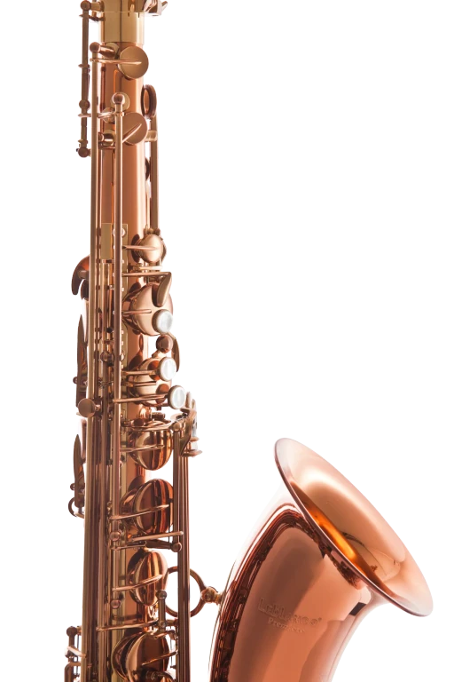 Leblanc LTS711  Tenor Saxophone - Dark Lacquer