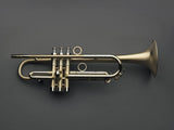 Van Laar Handcrafted OIRAM III - Brushed Raw Brass