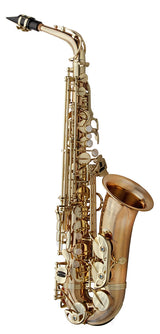 Yanagisawa AWO2U professional alto saxophone in unlacquered bronze. Open, warm tone and precision Japanese craftsmanship for serious performers.