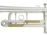 Yamaha Chicago Bb Trumpet YTR9335CHS-BR