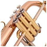 Elkhart 100FH Flugelhorn - Rose Brass Bell