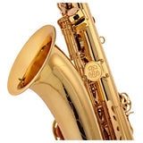 Buffet Crampon 100 series Bb tenor saxophone