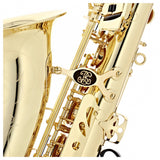 Buffet Prodige Alto Saxophone - Gold Lacquer