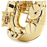 Buffet Prodige Alto Saxophone - Gold Lacquer