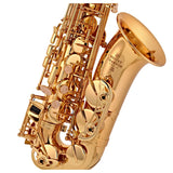 Buffet 100 Alto Saxophone