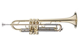 Schargel Academica Bb Trumpet TR-620L Goldbrass bell, goldbrass leadpipe